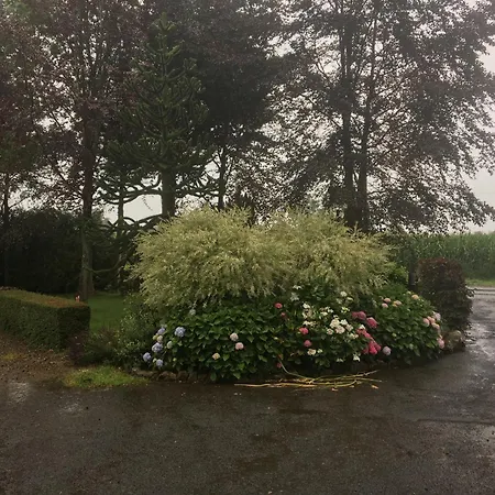 Chanteraine Bed & Breakfast *