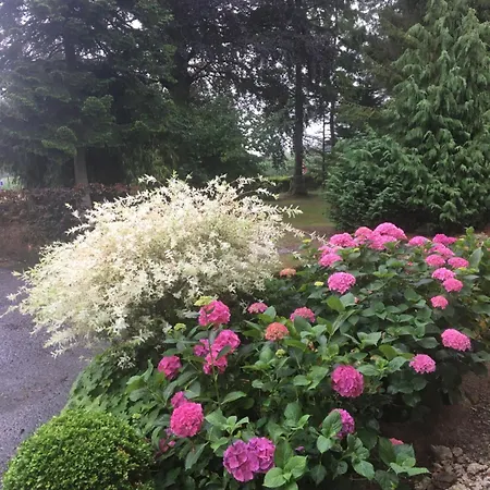 Chanteraine Bed & Breakfast