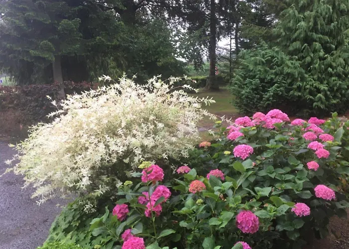 Chanteraine Bed & Breakfast